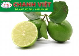 Chanh Không Hạt Thần Đồng Việt