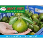Quýt Đường F&N Size nhỏ (> 10 trái)